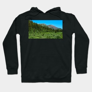 Lush Mountain Meadow. Hoodie